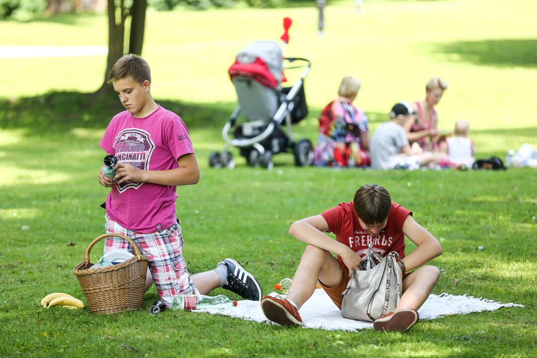 Valstybės gimtadienio šventė Raudondvaryje