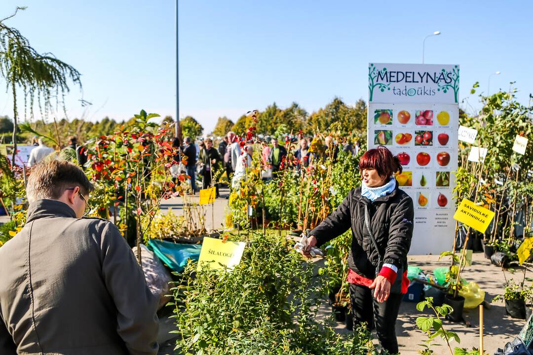 Paroda „Sprendimų ratas 2014“