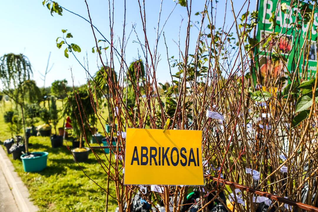 Paroda „Sprendimų ratas 2014“