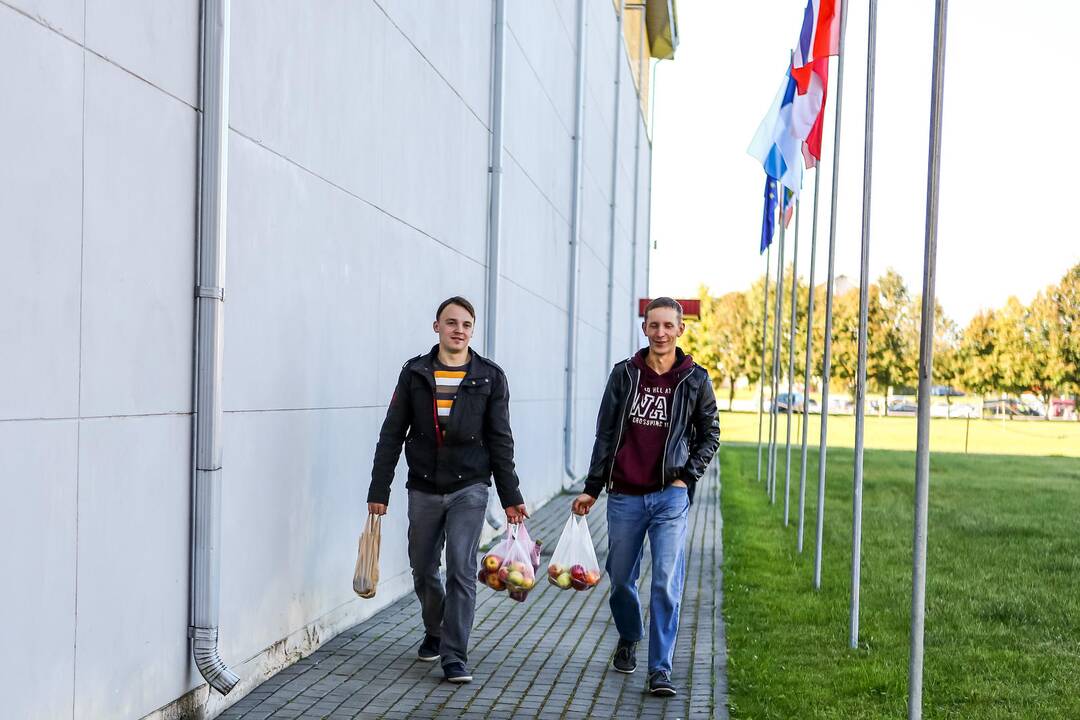 Paroda „Sprendimų ratas 2014“