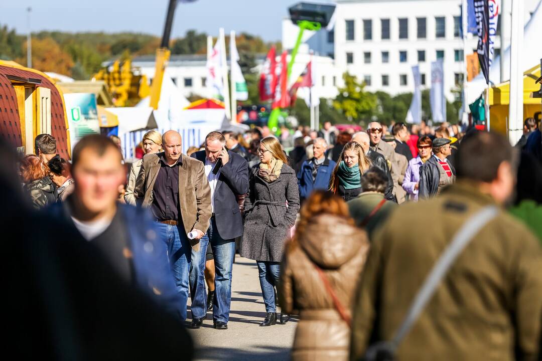 Paroda „Sprendimų ratas 2014“