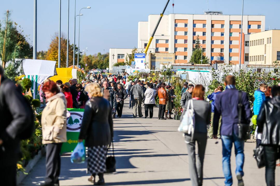 Paroda „Sprendimų ratas 2014“