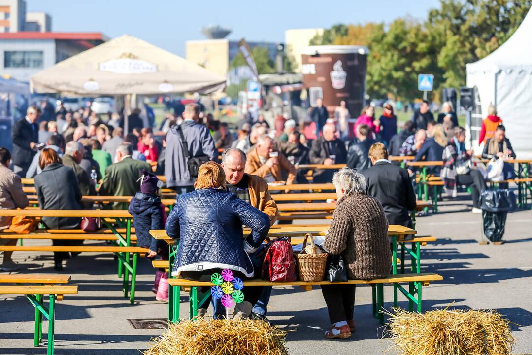 Paroda „Sprendimų ratas 2014“
