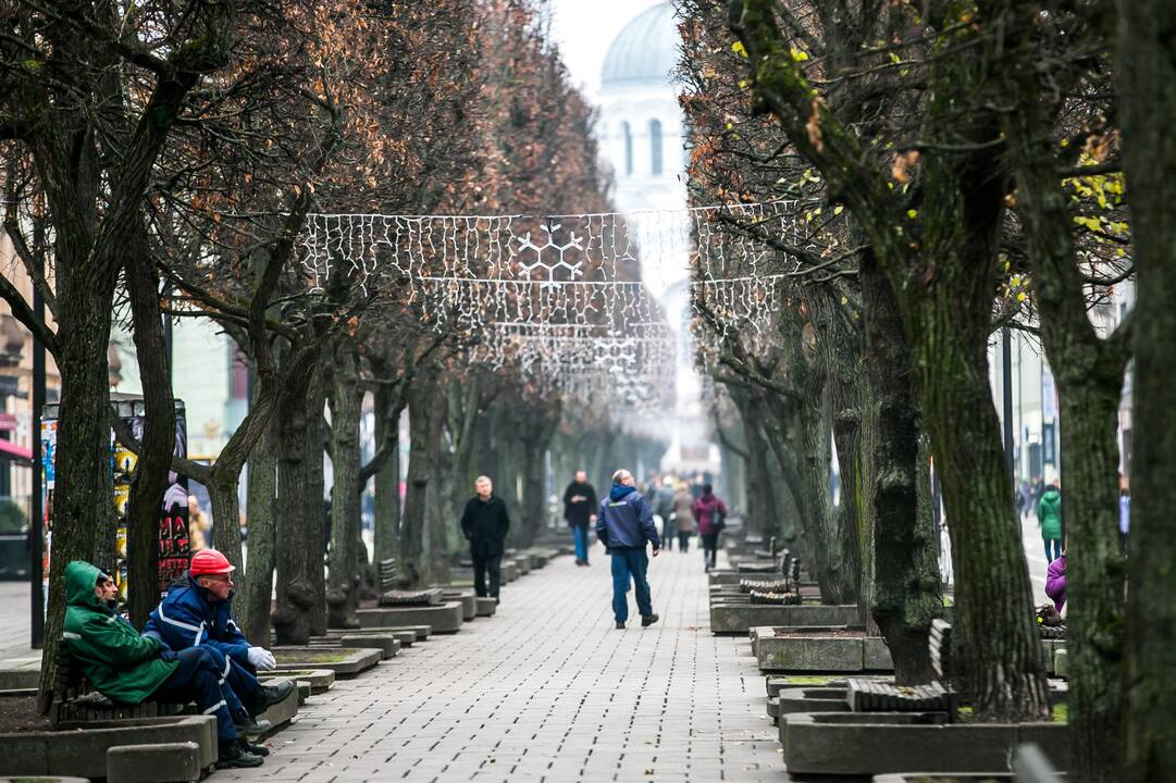 Laisvės alėjoje kabinamos kalėdinės girliandos
