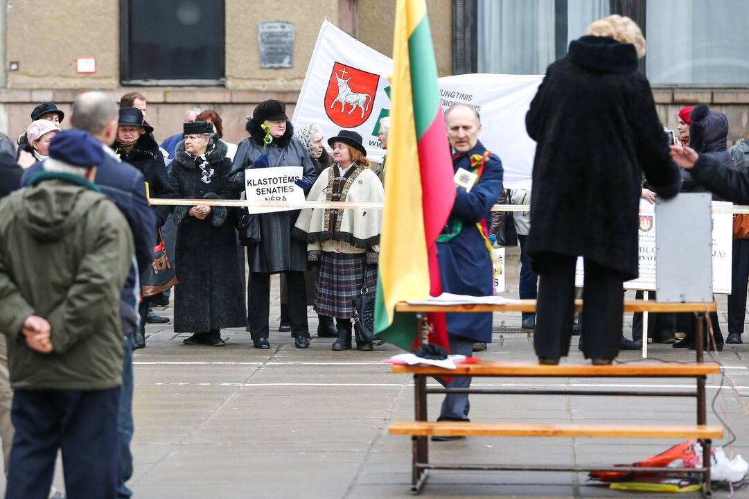 Mitingas Laisvės alėjoje