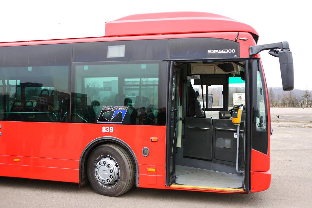 Kauno gatvėmis riedės ilgi autobusai
