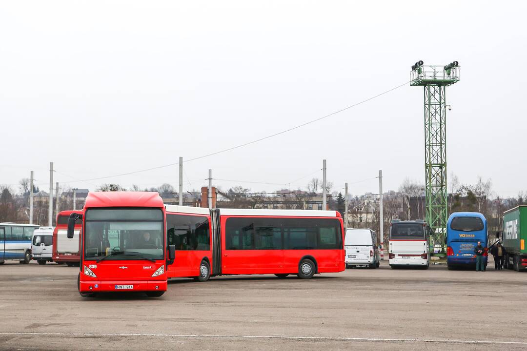 Kauno gatvėmis riedės ilgi autobusai