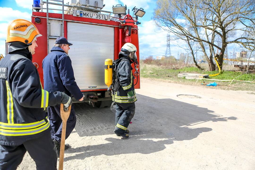 Aleksote rasta išsiliejusio gyvsidabrio
