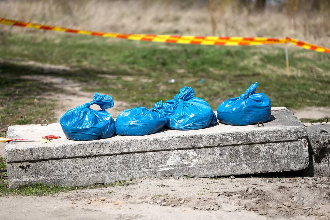 Aleksote rasta išsiliejusio gyvsidabrio