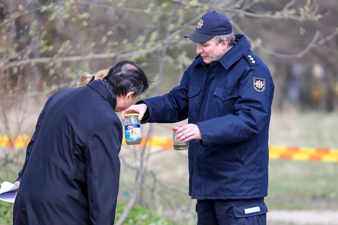 Aleksote rasta išsiliejusio gyvsidabrio