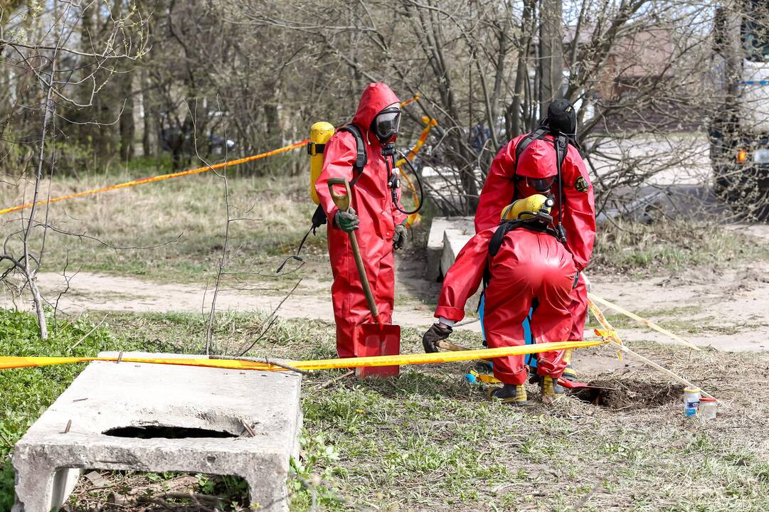 Aleksote rasta išsiliejusio gyvsidabrio