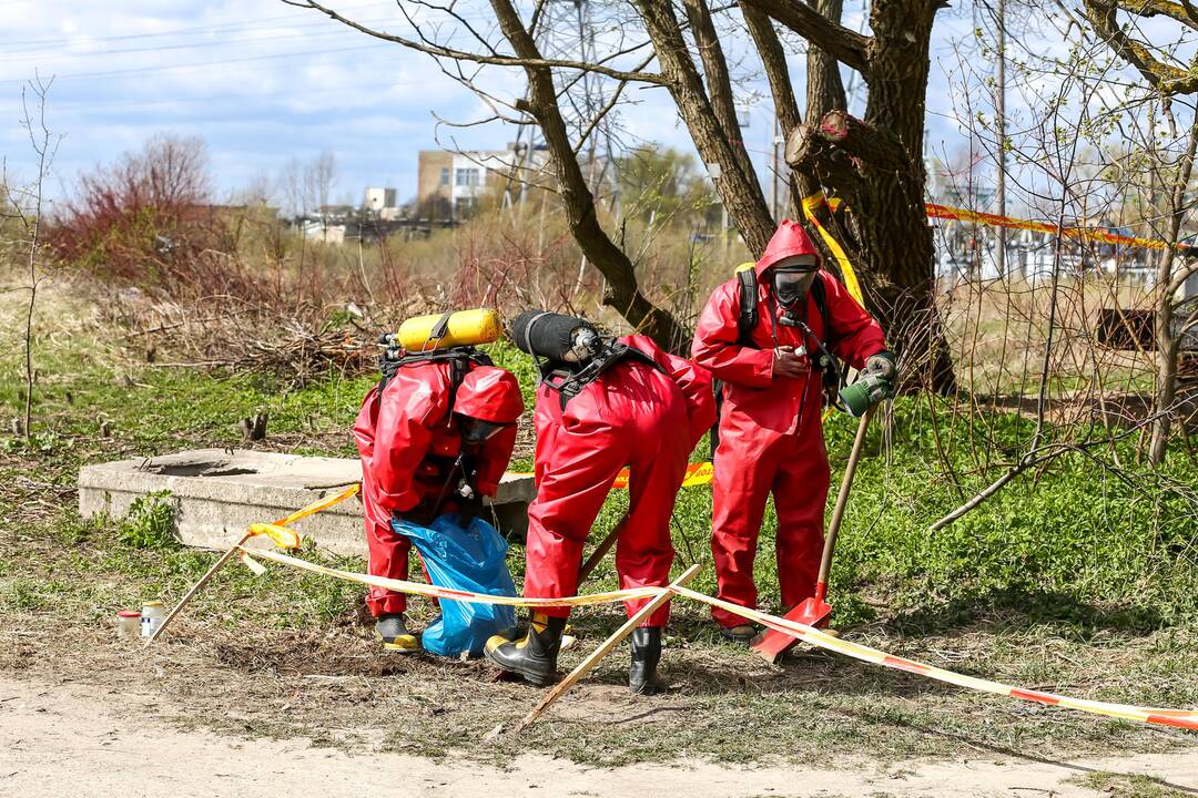 Aleksote rasta išsiliejusio gyvsidabrio