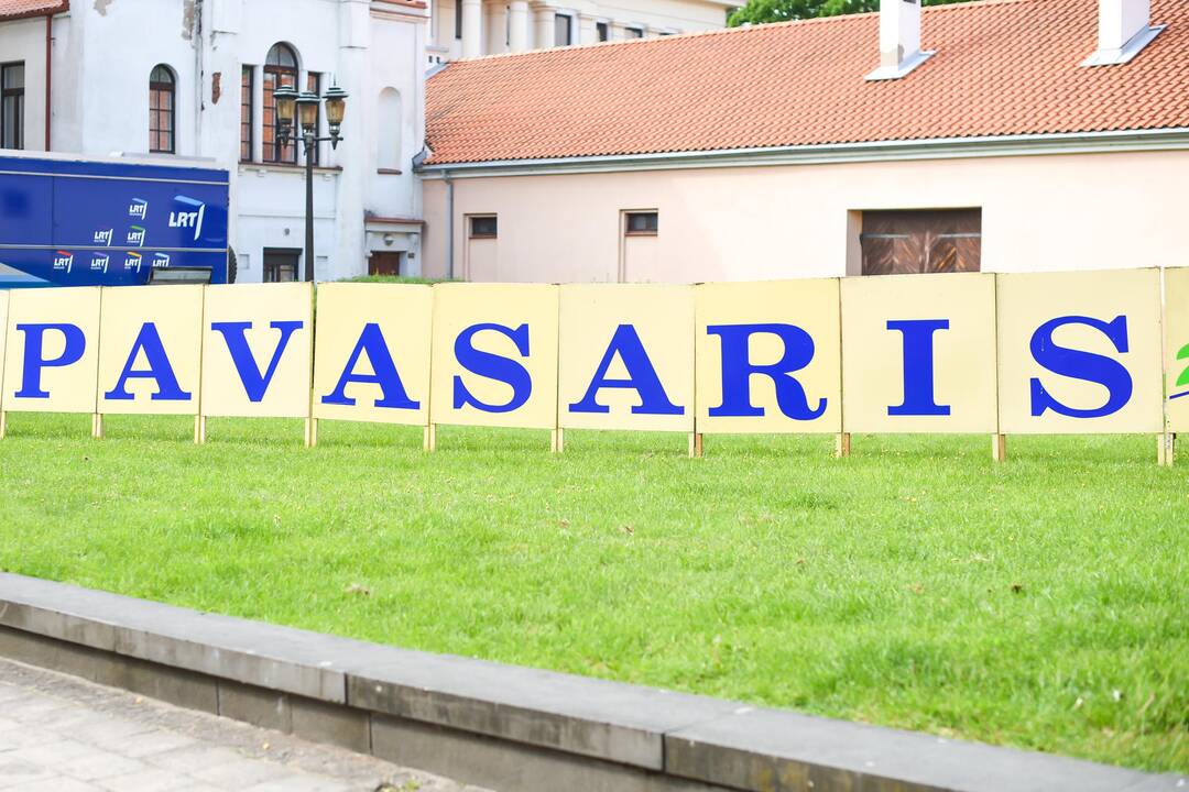 „Poezijos pavasario 2015“ laureatu tapo V. Braziūnas