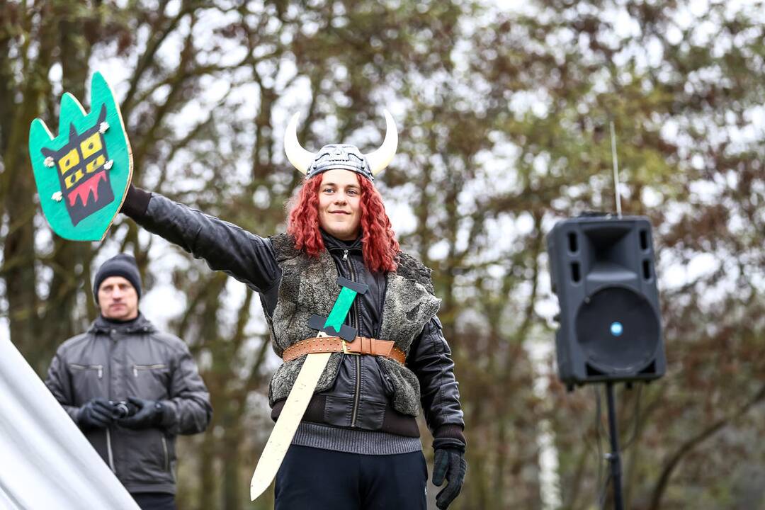 Vikingų laivai Zapyškyje