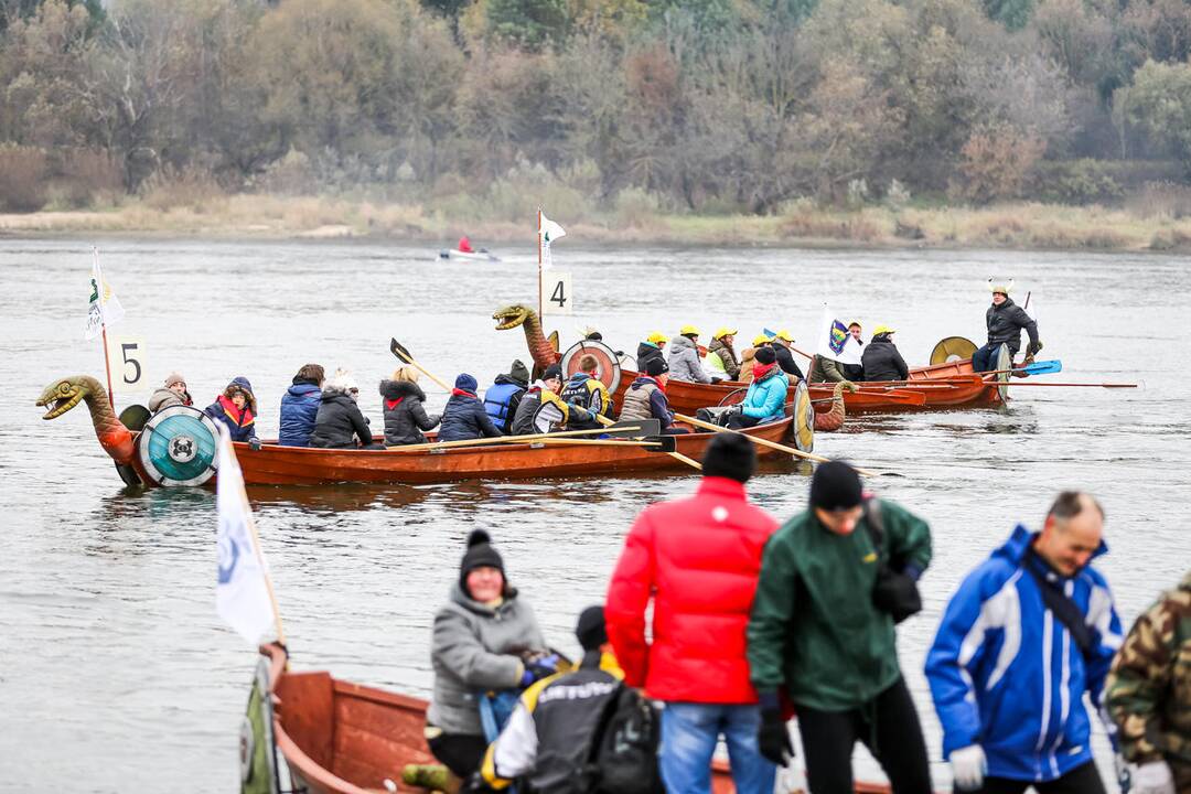 Vikingų laivai Zapyškyje