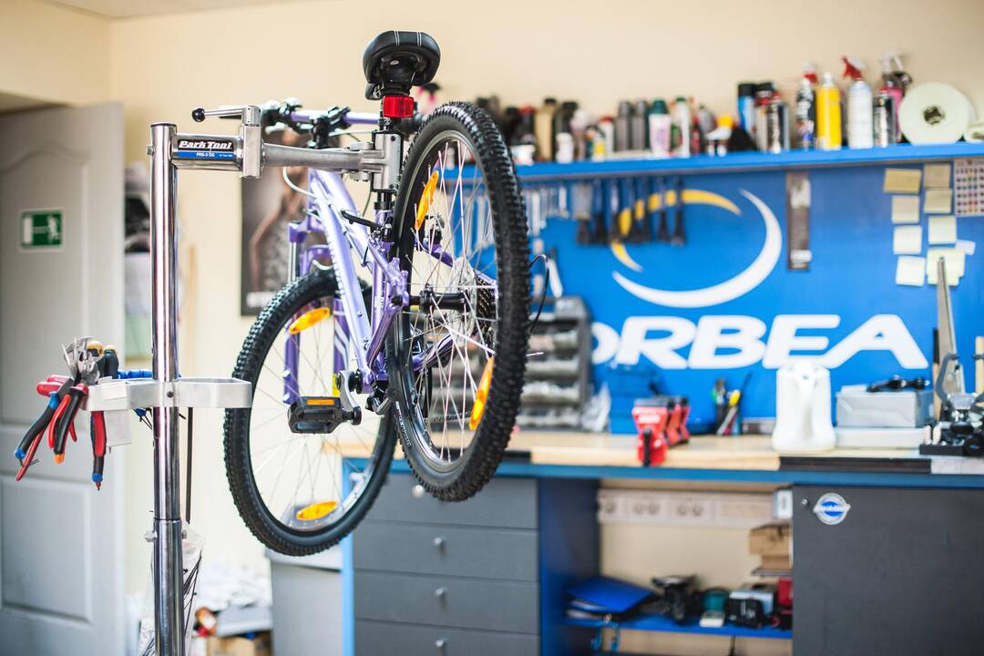 Verslo idėja kilo minant pedalus