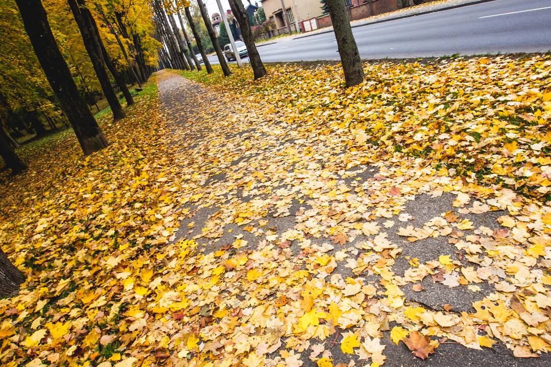 Nuotaiką dėl šiltų orų gadins nebent žvarboko vėjo gūsiai