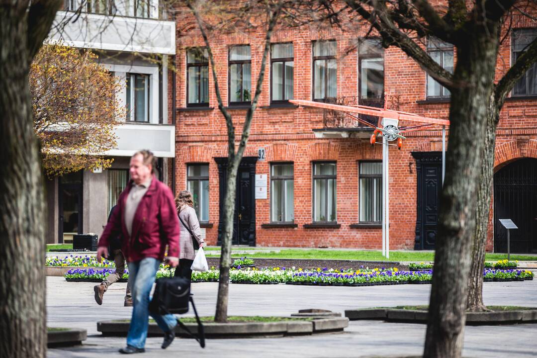 Prie Kauno miesto savivaldybės sodinamos gėlės