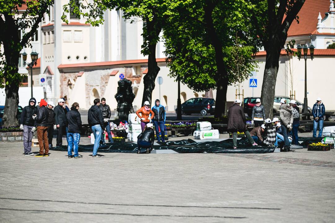 Rotušės aikštėje iš gėlių dėliojamas Europos žemėlapis
