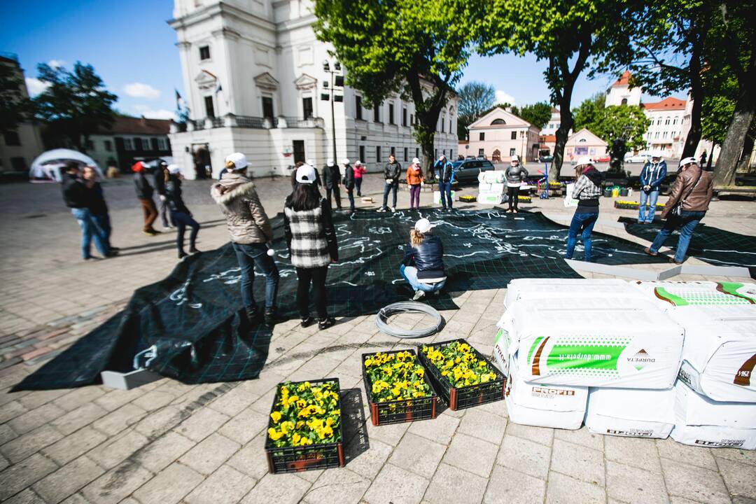 Rotušės aikštėje iš gėlių dėliojamas Europos žemėlapis