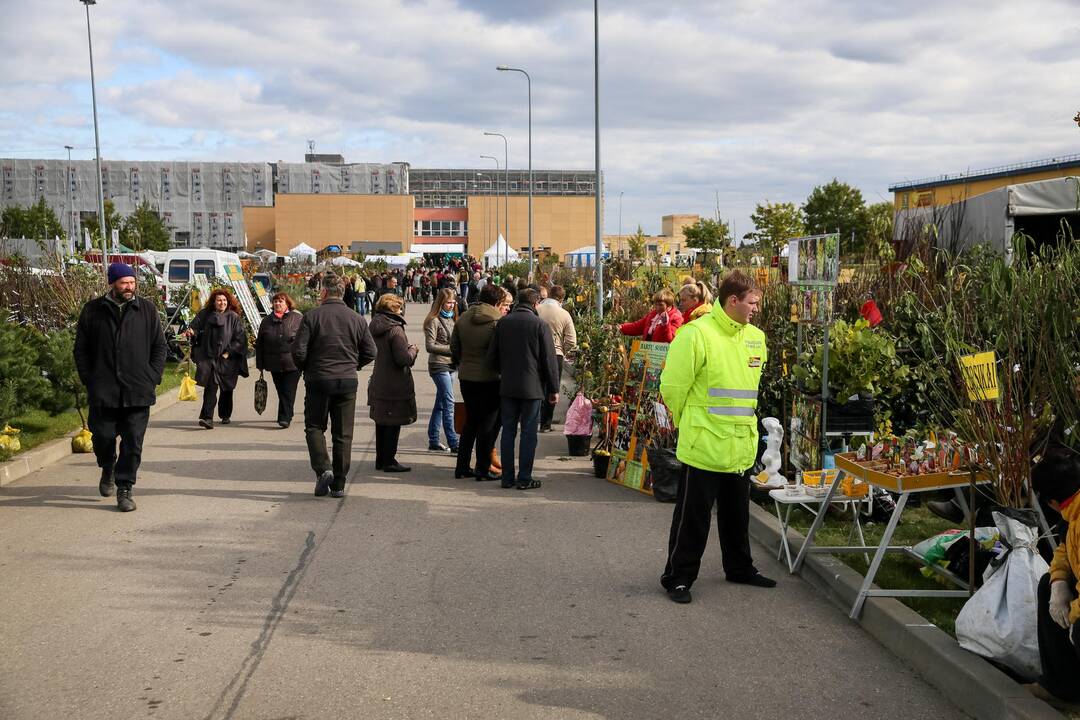 Paroda "Sprendimų ratas"