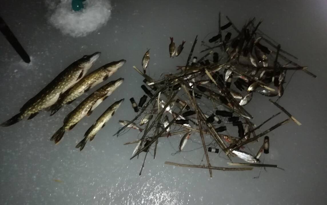 Asociatyvi nuotr.