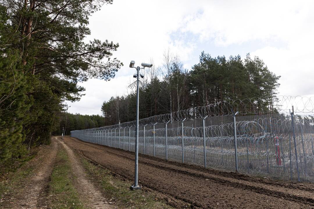 Pasienyje su Baltarusija apgręžta vienuolika neteisėtų migrantų