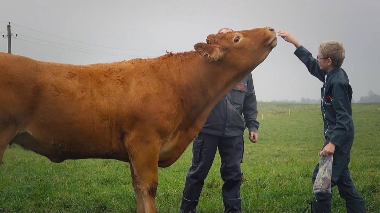 Gyvūnų mokslo specialistas: darbas pats susirado mane