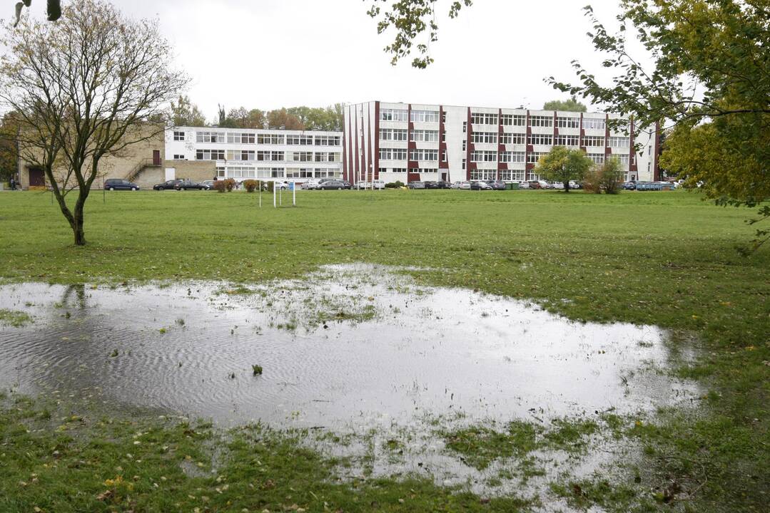 Apmaudas: klaipėdiečiams įgriso matyti nuolat apsemiamą aikštyną.