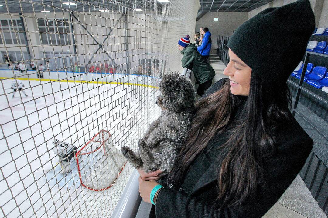 L.ritulys: „Kaunas Hockey“ – „Hockey Punks“ 3:5