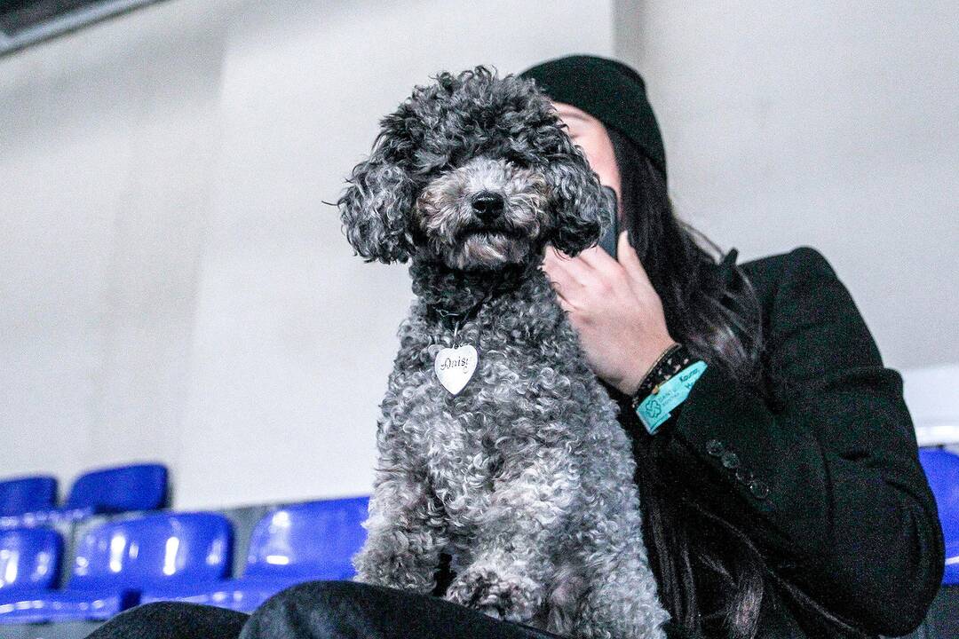L.ritulys: „Kaunas Hockey“ – „Hockey Punks“ 3:5