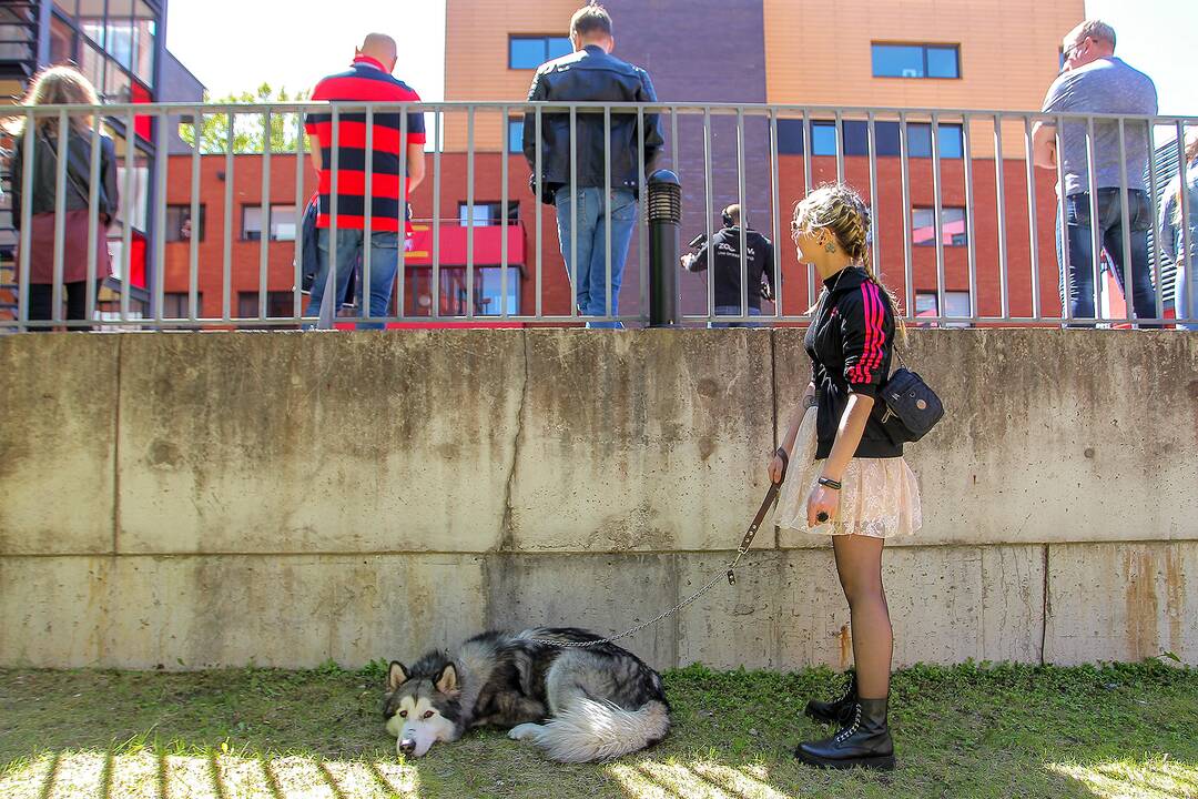 Kauno gimtadienio kultūros renginiai