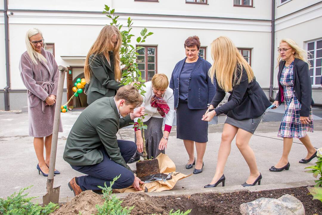 Rugsėjo 1-oji Maironio gimnazijoje