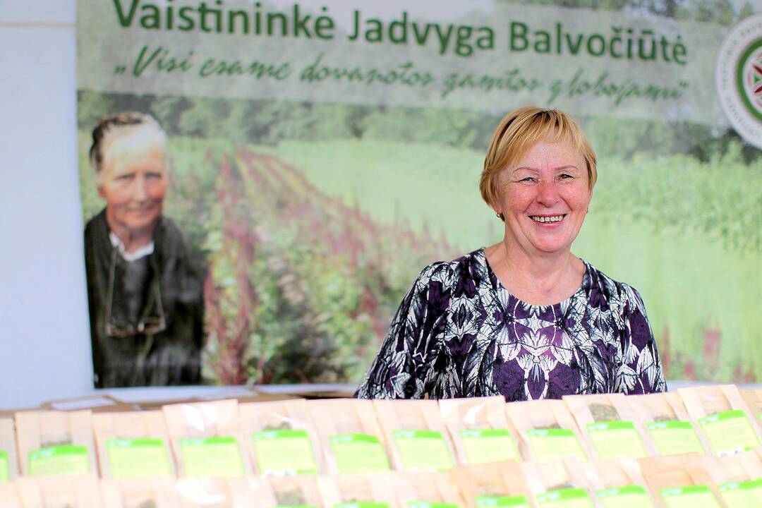 Žolinės šventimas Rumšiškėse