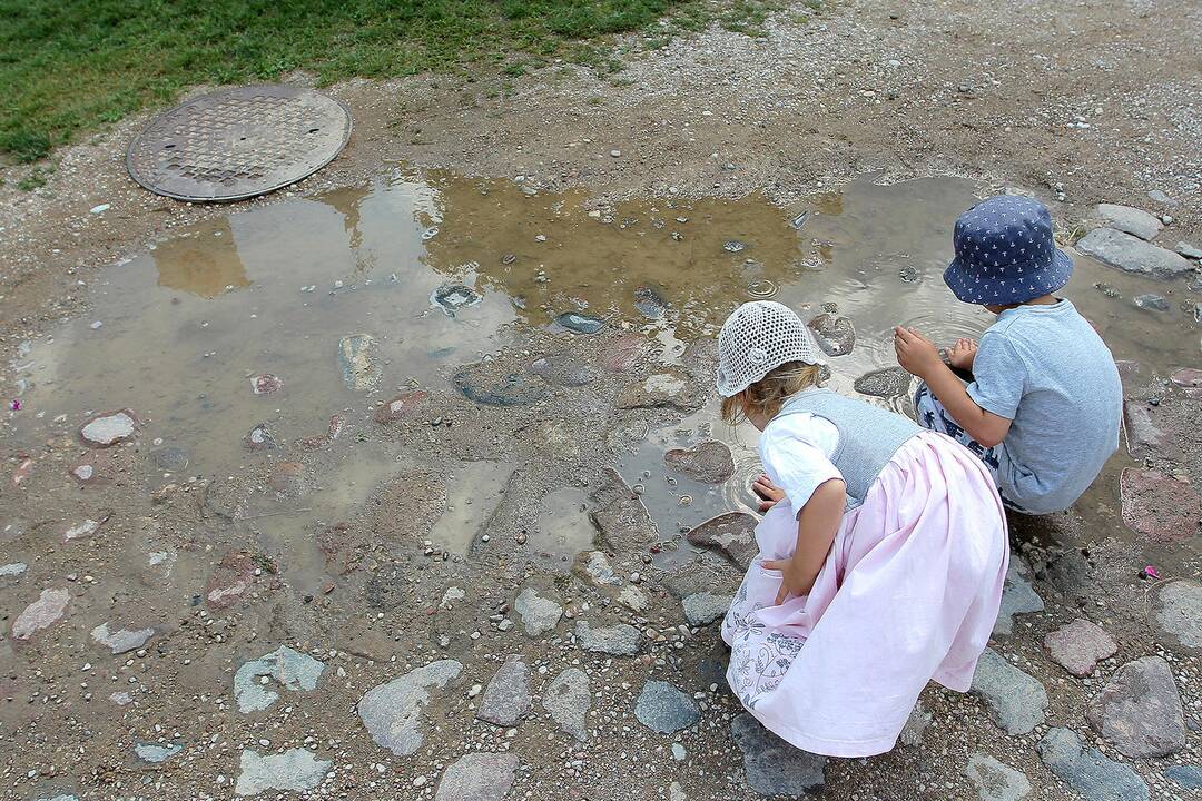 Žolinės šventimas Rumšiškėse
