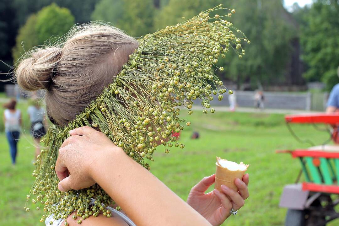 Žolinės šventimas Rumšiškėse