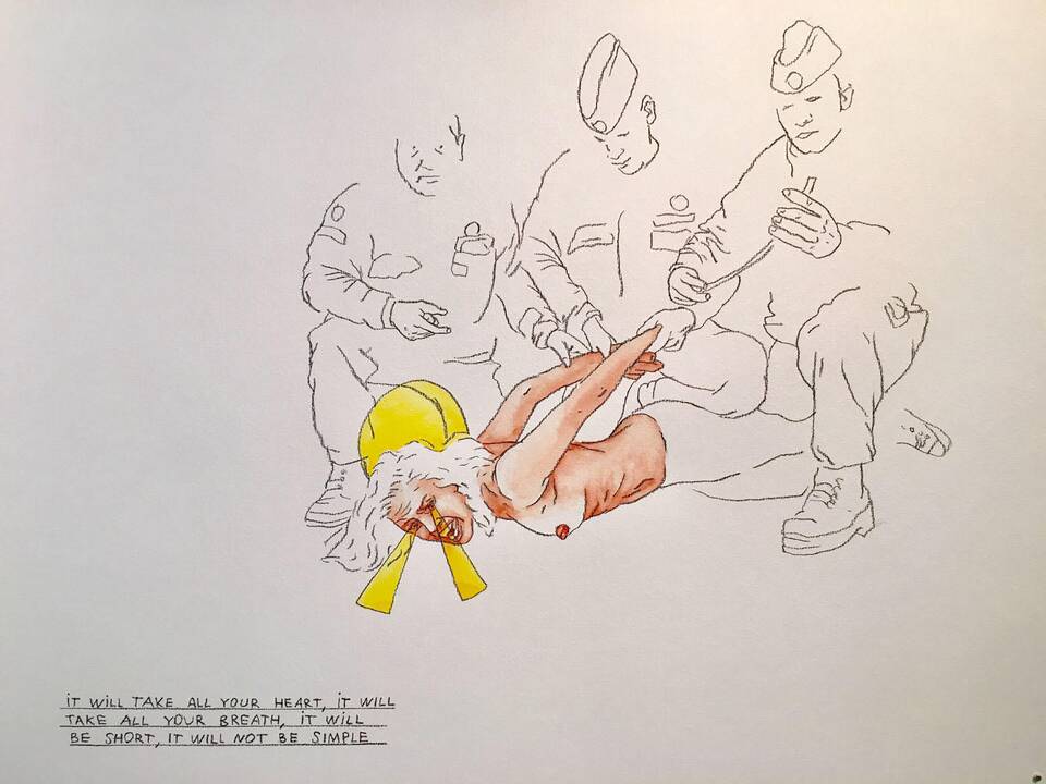 L.Šalčiūtė. (Melo)dramos. Išvarymas. 2016. 