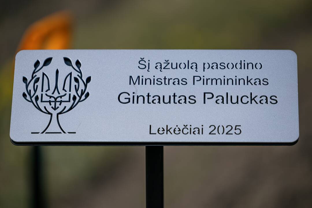 Ukrainos karo aukų atminimo ąžuolyne - dar daugiau ąžuolų