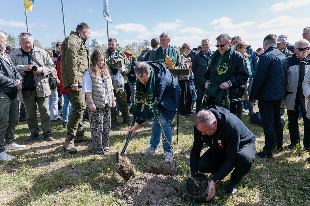 Ukrainos karo aukų atminimo ąžuolyne - dar daugiau ąžuolų