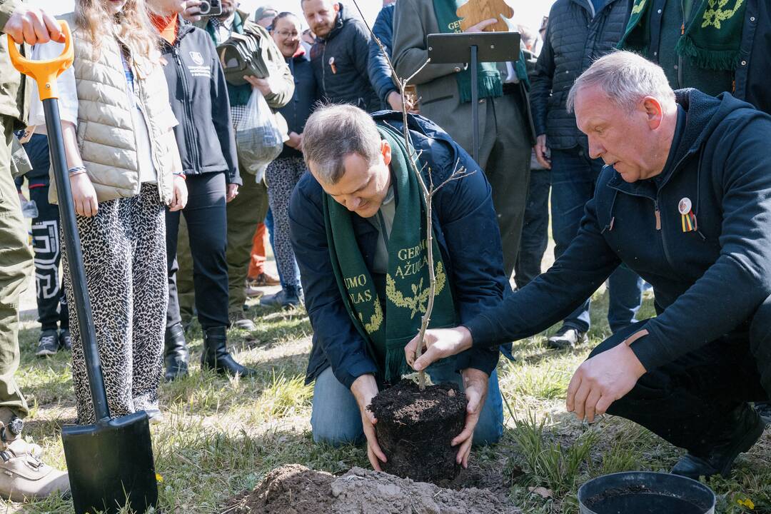 Ukrainos karo aukų atminimo ąžuolyne - dar daugiau ąžuolų
