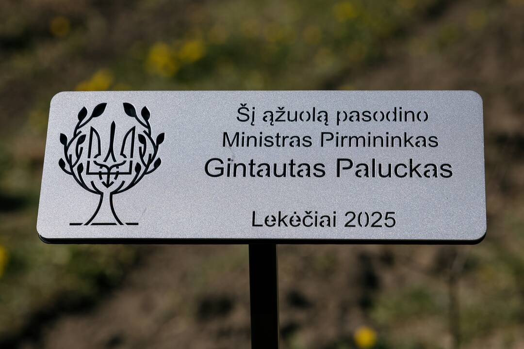 Ukrainos karo aukų atminimo ąžuolyne - dar daugiau ąžuolų