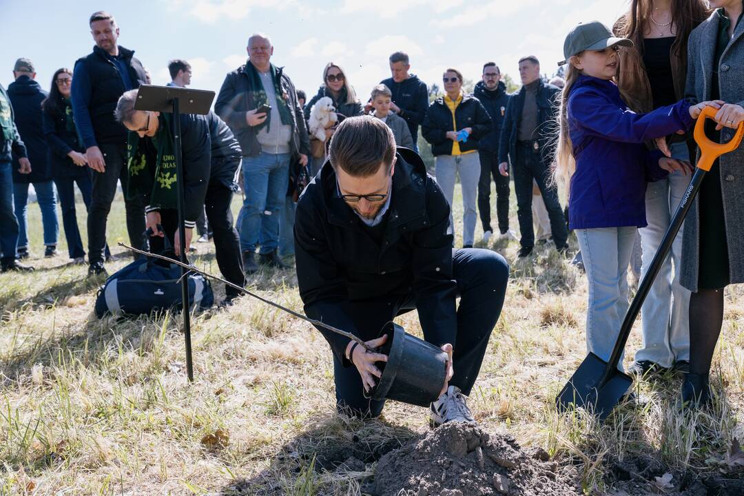 Ukrainos karo aukų atminimo ąžuolyne - dar daugiau ąžuolų