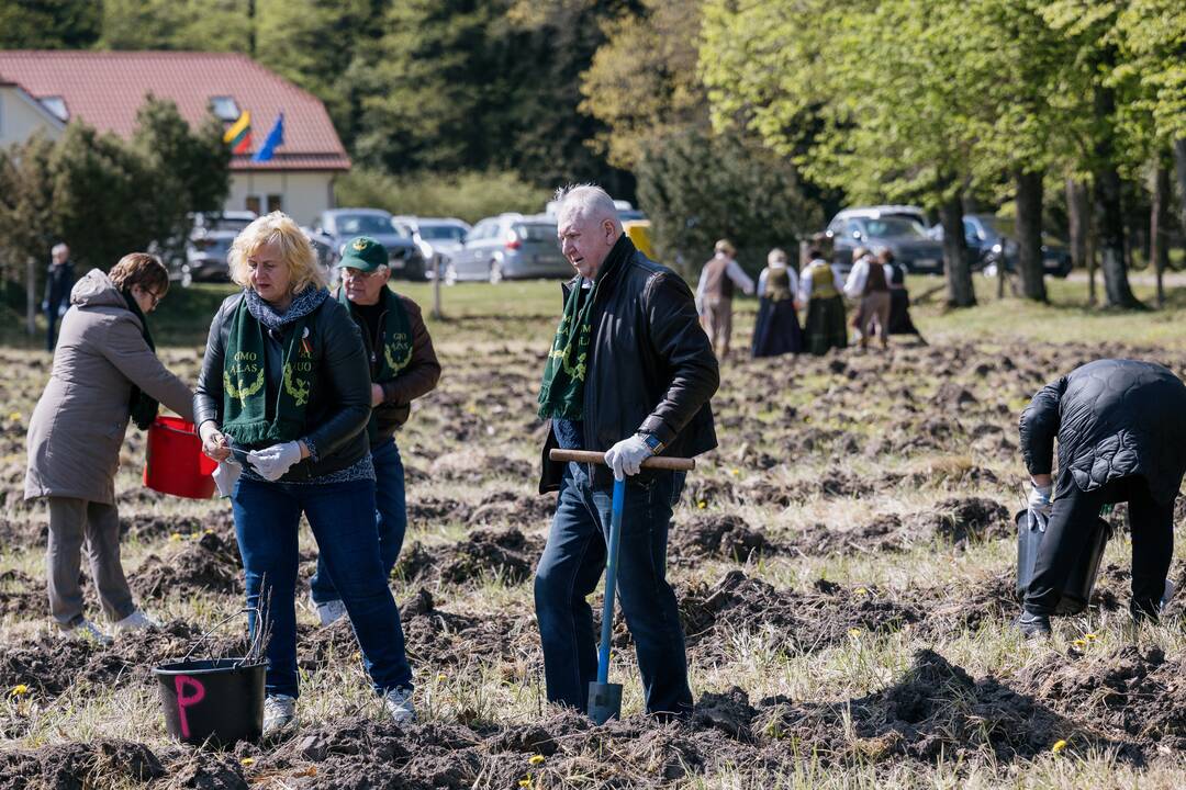 Ukrainos karo aukų atminimo ąžuolyne - dar daugiau ąžuolų