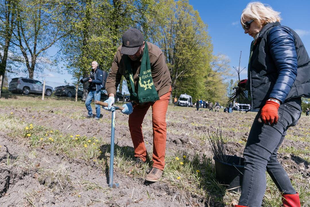 Ukrainos karo aukų atminimo ąžuolyne - dar daugiau ąžuolų
