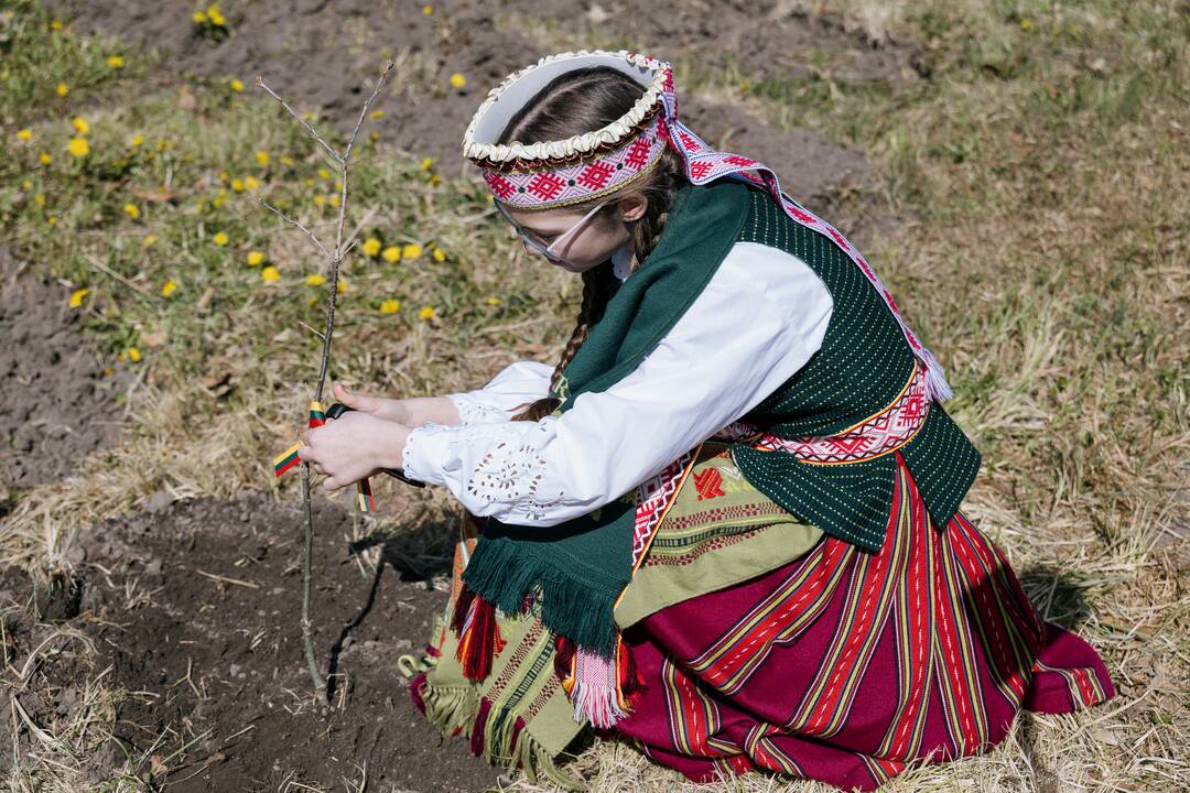 Ukrainos karo aukų atminimo ąžuolyne - dar daugiau ąžuolų