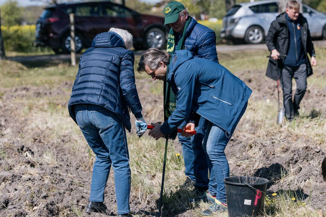 Ukrainos karo aukų atminimo ąžuolyne - dar daugiau ąžuolų