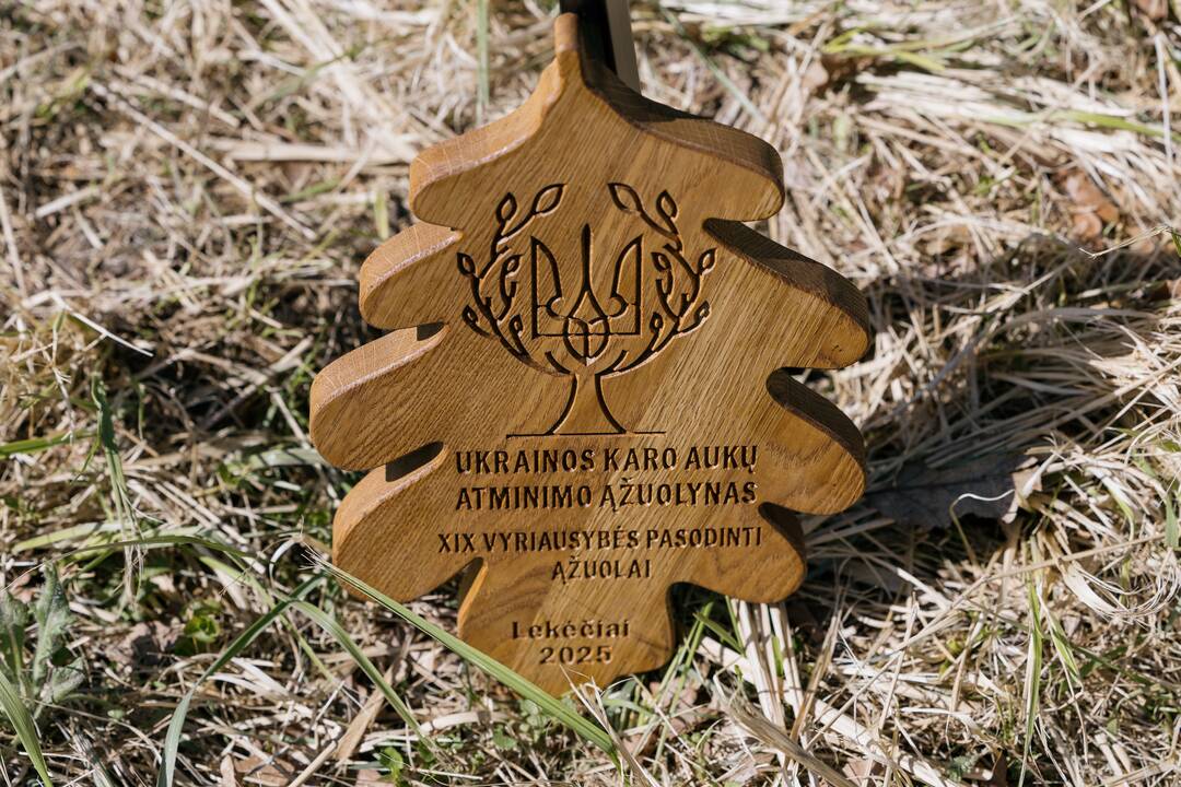Ukrainos karo aukų atminimo ąžuolyne - dar daugiau ąžuolų
