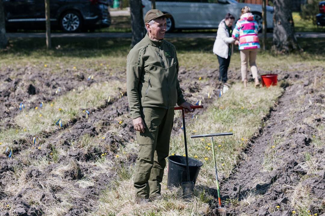 Ukrainos karo aukų atminimo ąžuolyne - dar daugiau ąžuolų