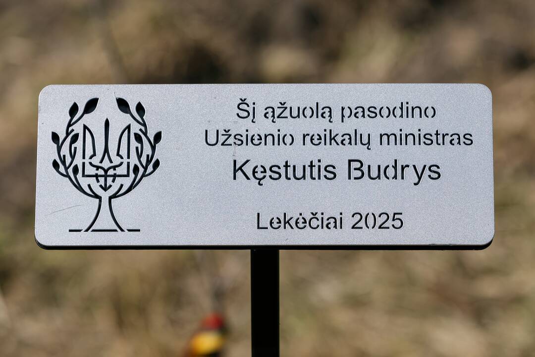 Ukrainos karo aukų atminimo ąžuolyne - dar daugiau ąžuolų