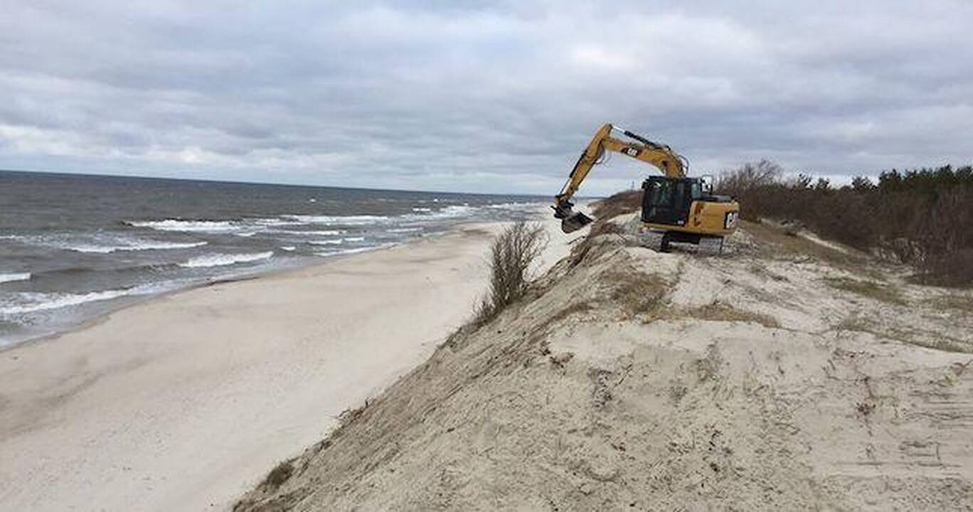 Kuršių nerijoje po audros tvarkomas apsauginis kopagūbris